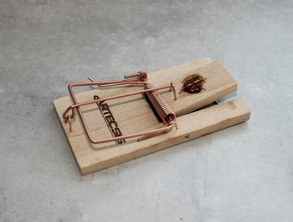 ARTECSIS 5er Set Mausefallen aus Holz mit Köder, Schlagfalle, Schnappfalle, hohe Schlagkraft
